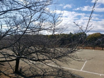 上依知青少年広場