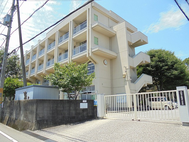 の画像