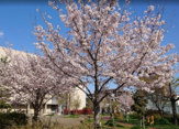 沢之町公園