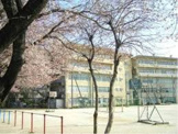 小学校 松戸市立梨香台小学校