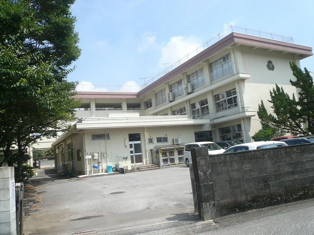 の画像