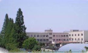 楠根小学校の画像1