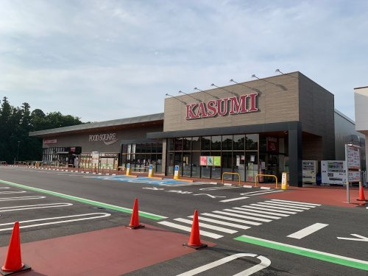 カスミフードスクエアライフガーデンみどりの店の画像1