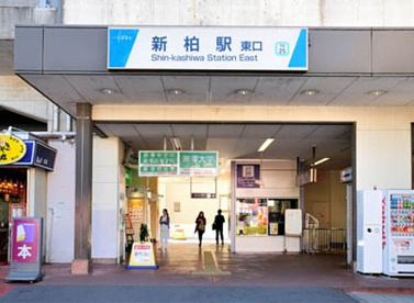 新柏の画像1
