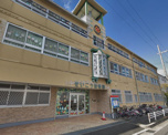 認定こども園せいこう幼稚園