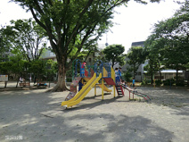 公園 深沢公園
