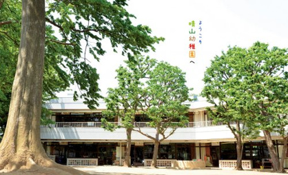 晴山幼稚園の画像1