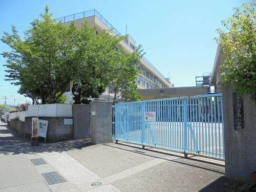 の画像
