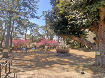 宝来公園の画像1