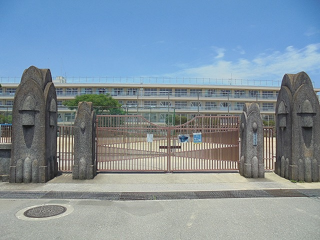 の画像