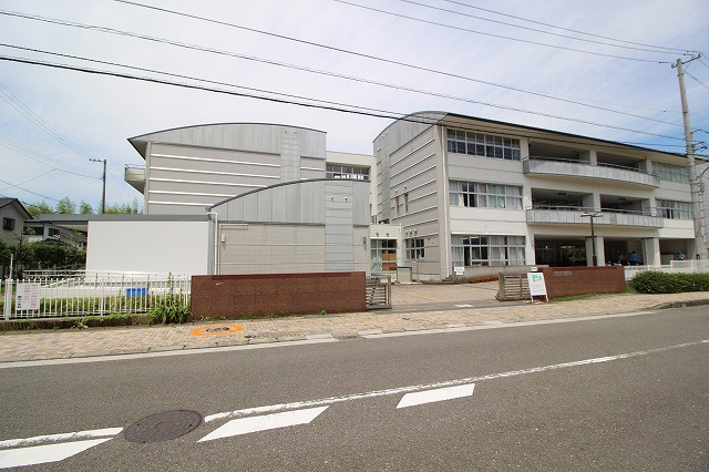 の画像