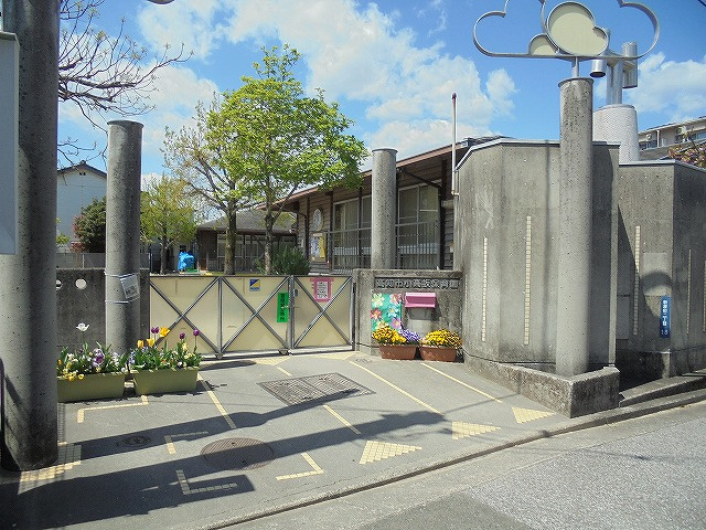 の画像