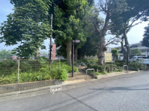 早宮どんぐり緑地