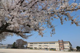 小学校 松戸市立栗ケ沢小学校