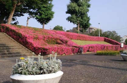 栗ヶ沢公園の画像1