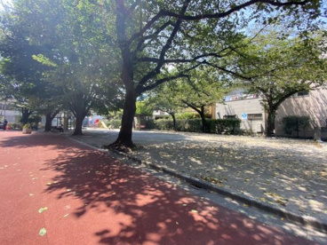 幡ヶ谷新道公園の画像1
