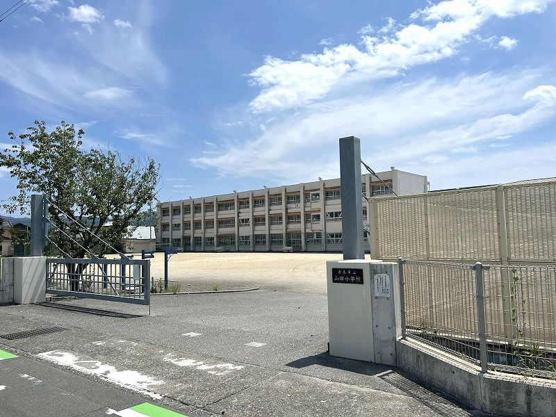 の画像