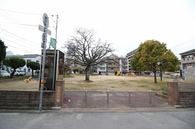 の画像