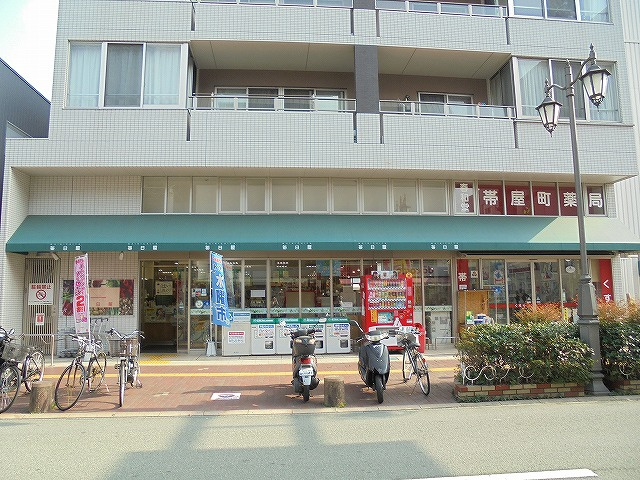 の画像