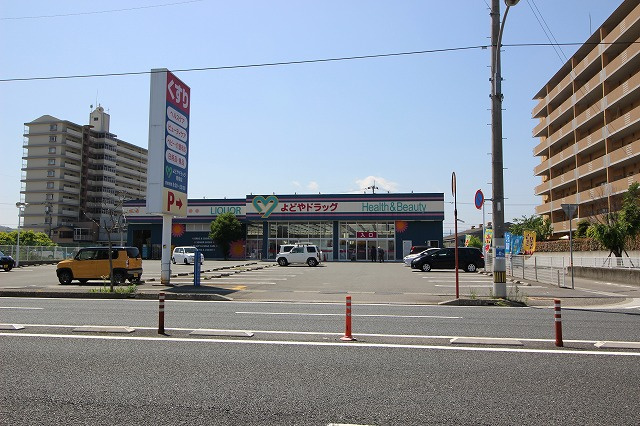 の画像