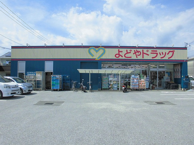 の画像