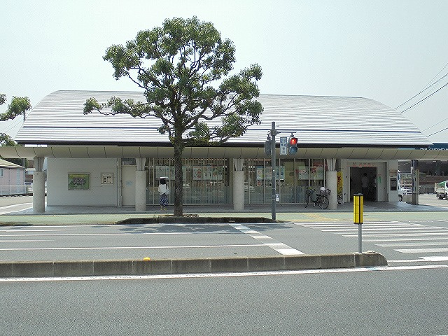 の画像