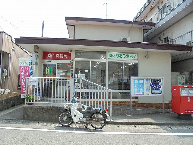 の画像