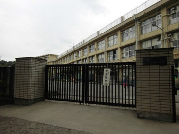 八坂小学校の画像1