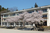 小学校 松井田小学校