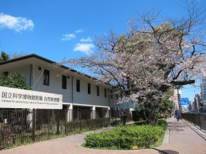 国立科学博物館附属自然教育園の画像