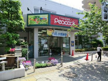 大丸ピーコック桜新町店の画像1