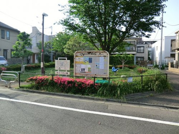 桜三丁目公園の画像1