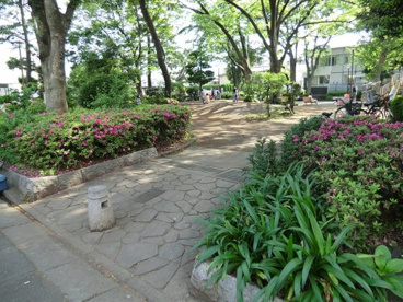 世田谷新町公園の画像1