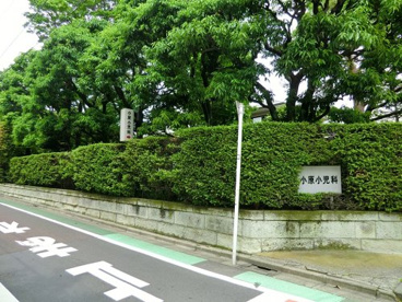 小原小児科医院の画像1