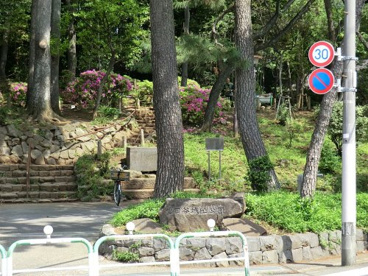 世田谷城阯公園の画像1