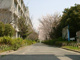 深井中学校の画像