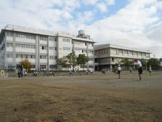 東羽衣小学校