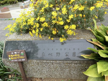 こなべ野公園の画像1