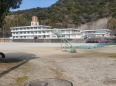 の画像