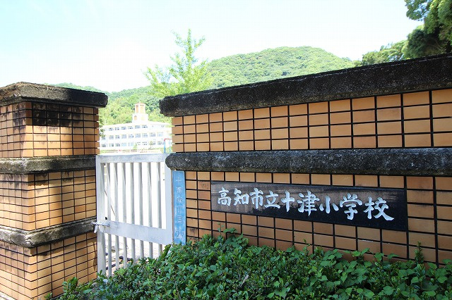 の画像