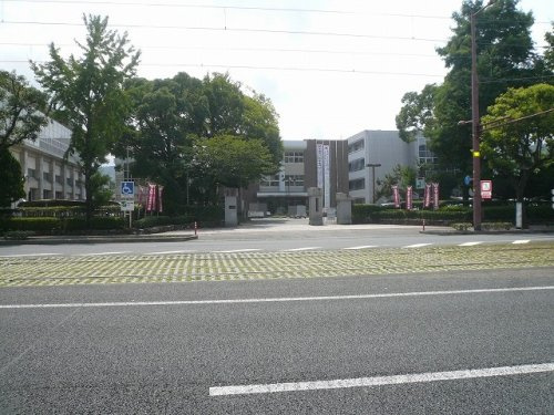 の画像