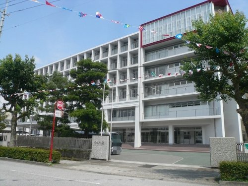 の画像