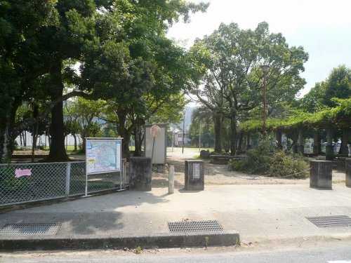 の画像