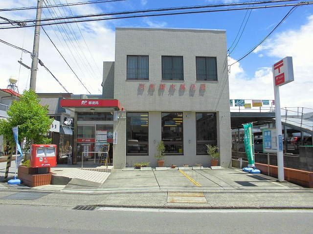 の画像