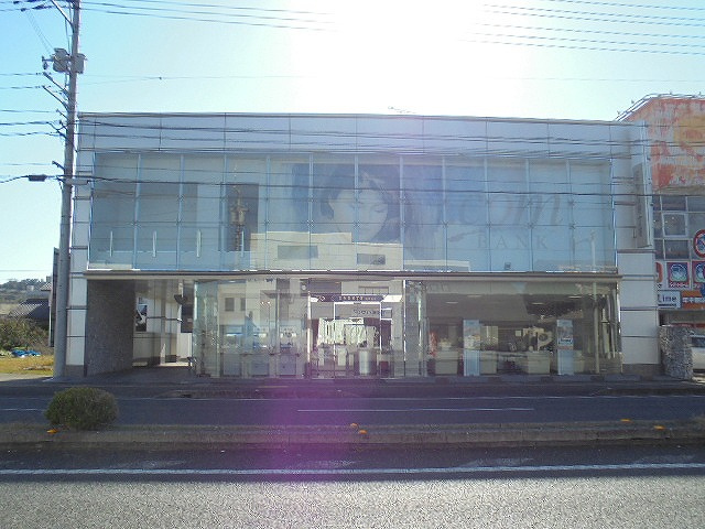 の画像