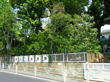 鶯谷さくら幼稚園の画像1