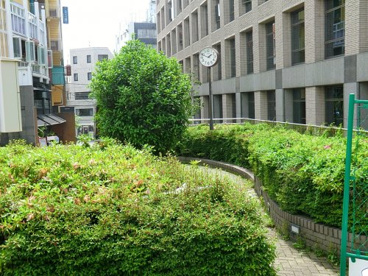 恵比寿南まちかど公園の画像1