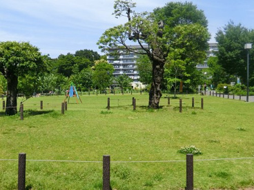 中目黒公園の画像1