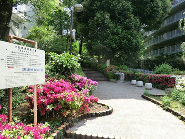 中目黒南緑地公園の画像1