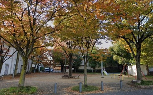 の画像